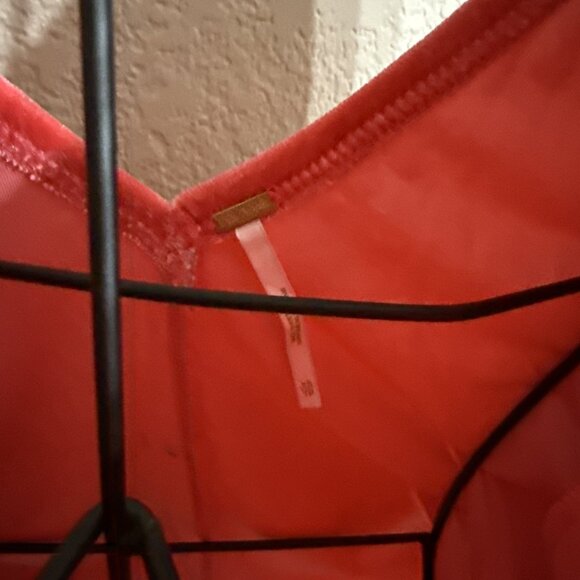 Free People Bridgette Velvet Top Smokey Wings Size Large Babydoll MSRP $128 - Picture 4 of 11